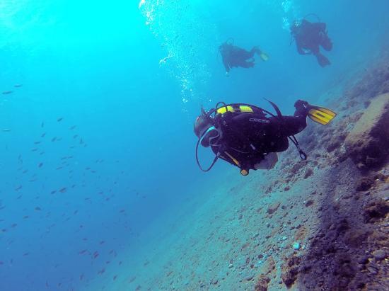 Buceo La Herradura