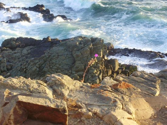 Playa Los Molles