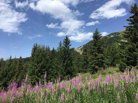 Meribel Golf Club