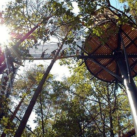 Biosphärenhaus Pfälzerwald