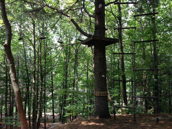 Parc Madonie Adventure Park