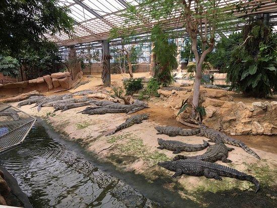 La Ferme aux Crocodiles