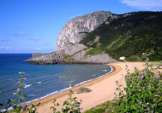 Cabo Ogono