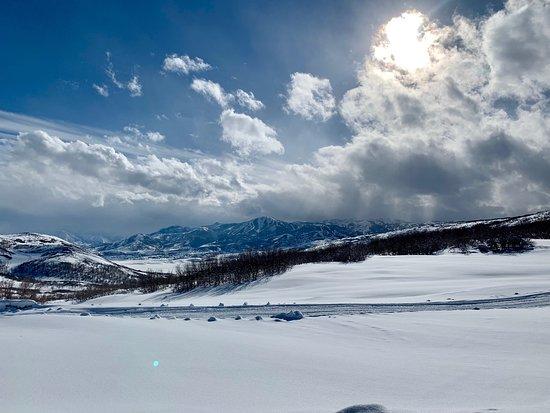 Summit Meadows Adventures