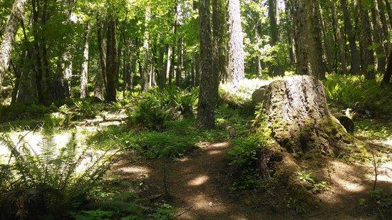 Spencer Butte
