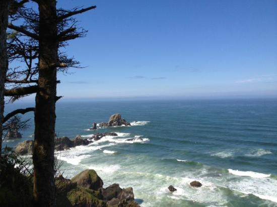 Tillamook Head Traverse Hike