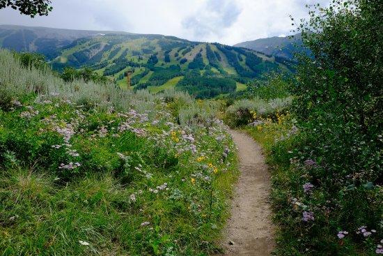 Snowmass Village Hiking Trails