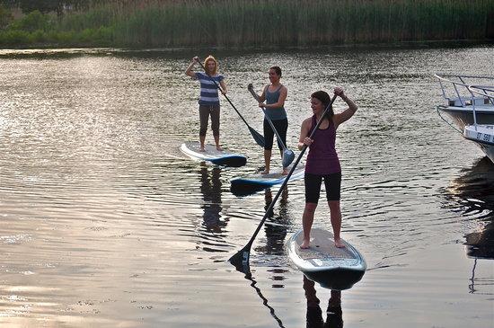 Paddle Surf RI
