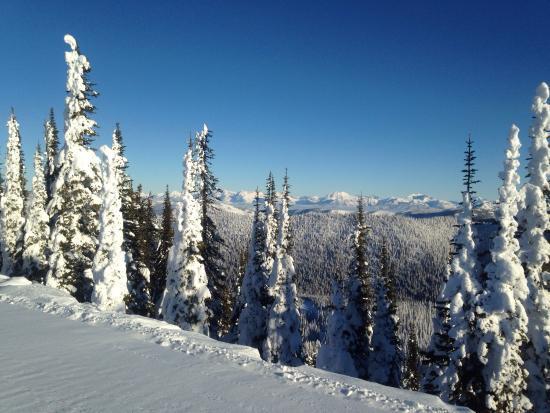 Swan Mountain Snowmobiling