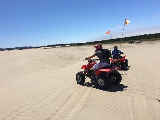 Torex ATV Rentals
