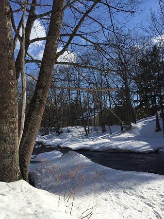 Nestlenook Estate & Resort Sleigh Rides