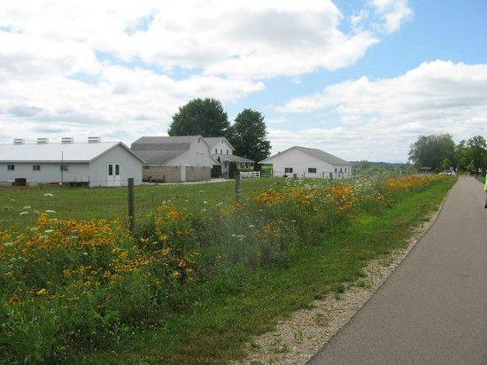 Pumpkinvine Nature Trail