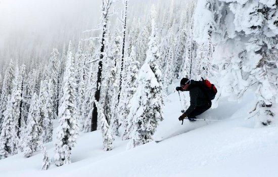 Selkirk Powder Guides
