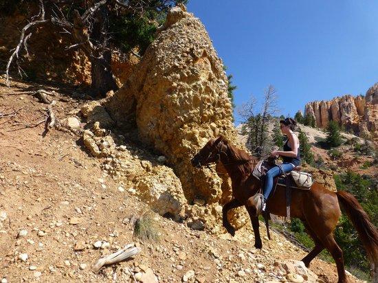 Mecham Outfitters