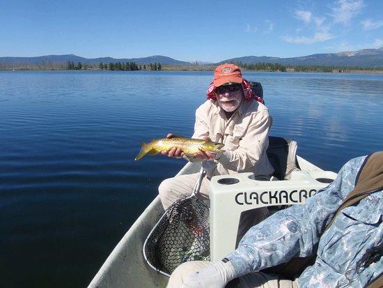 Henry's Fork Anglers