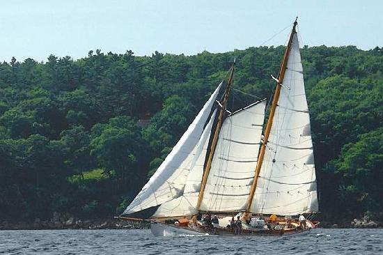 Schooner Yacht Heron