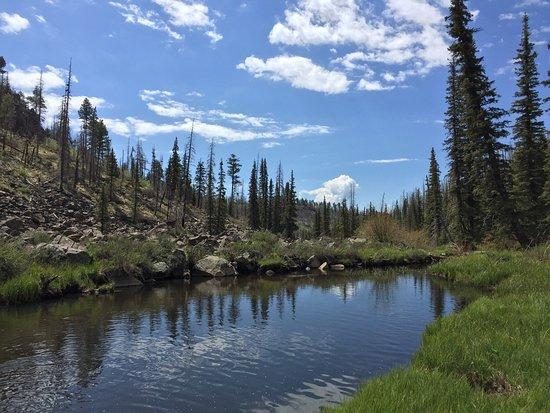 Thompson Trail