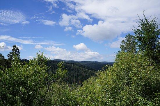 Osha Trail
