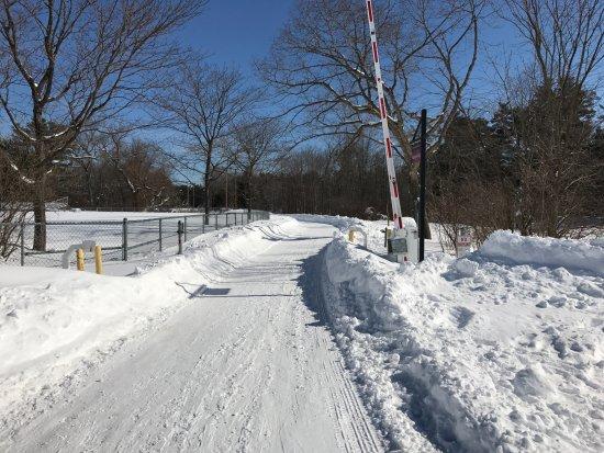 Phillips Exeter Trail