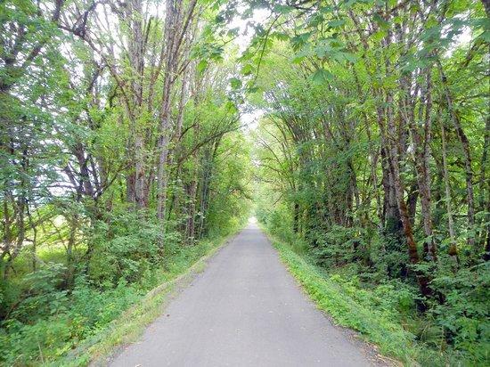 Row River Trail