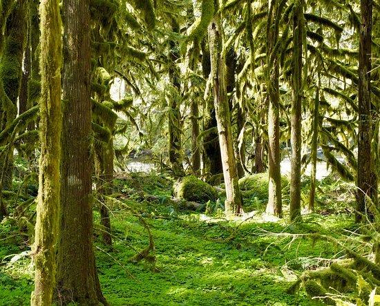 Salmon River Trail