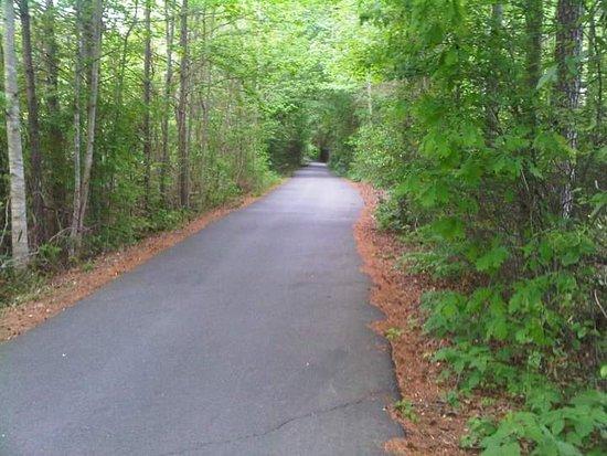 Golf Cart Paths