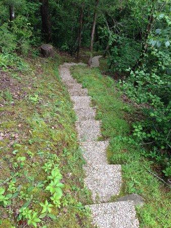 Caddo River Camping and Canoe Rental