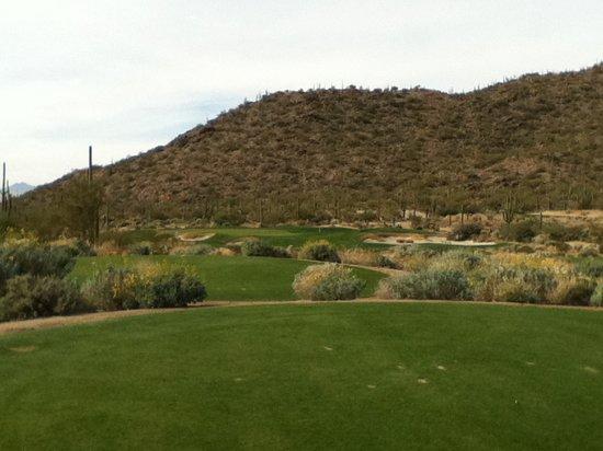 Ritz Carlton Golf Course Dove Mountain