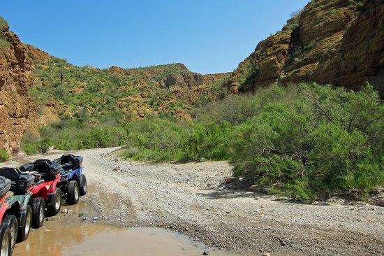 Arizona ATV Adventures
