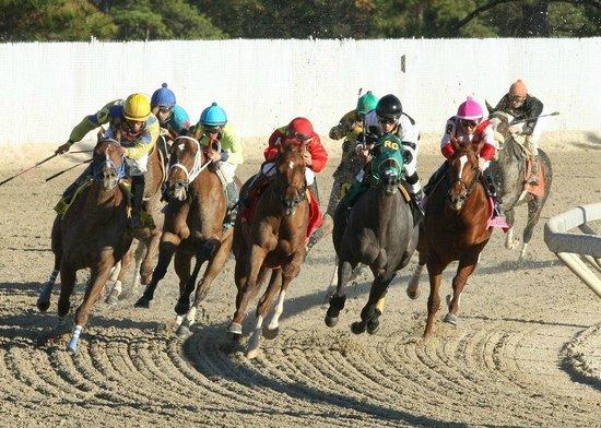 Delta Downs Racetrack & Casino