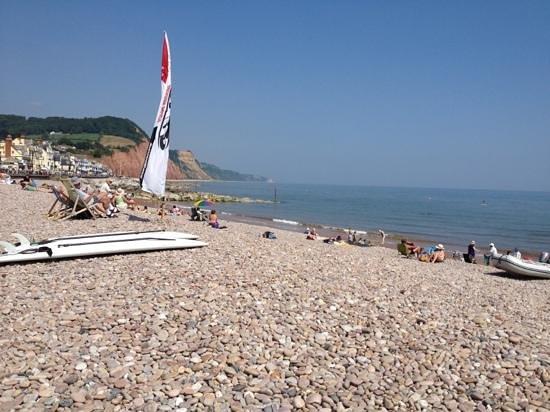 Jurassic Paddle Sports