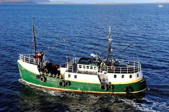 MV Valkyrie