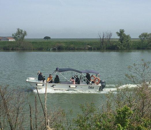 Escursioni in Barca nel Delta del Po - Alberto Barini