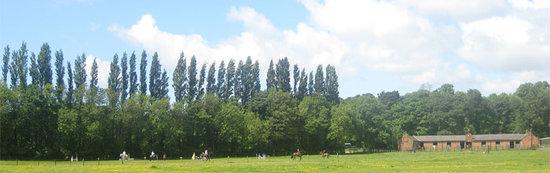 Croxteth Park Riding Centre