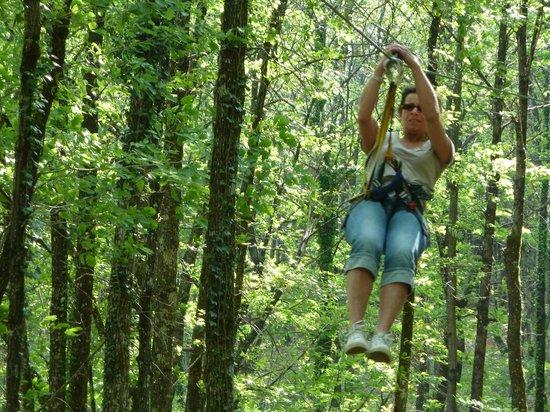 L'Appel de la Foret