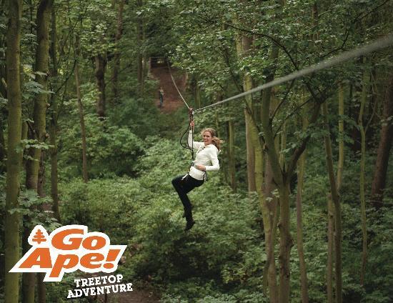 Go Ape Treetop Adventure Course
