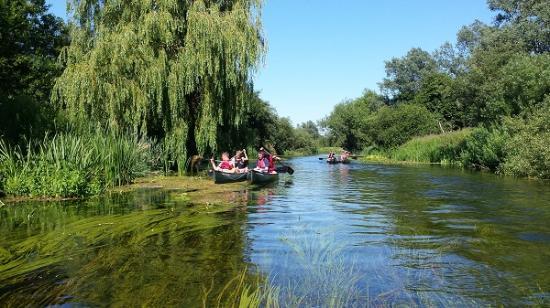 Canoe Wild