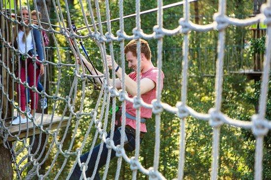 Go Ape