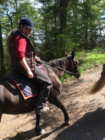 Gwydyr Stables