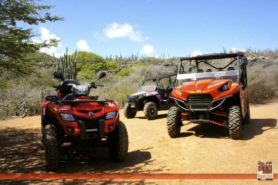 ATV & Buggy Tours