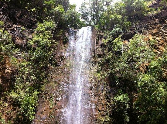 Wailua Kayak Adventures
