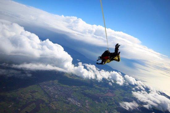 Skydive Buzz Ltd