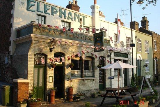 The Elephant