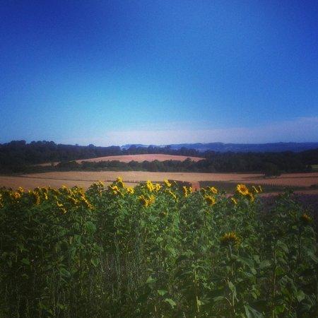 Craigie's Farm