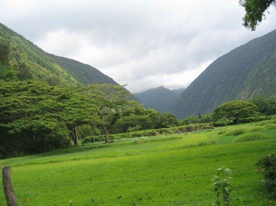 Waipio Valley Shuttle