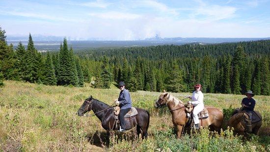 The Diamond P Ranch