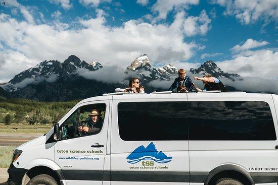 Wildlife Expeditions of Teton Science Schools