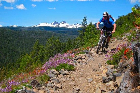Cog Wild Mountain Bike Tours