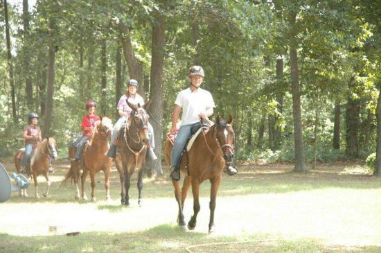 Pfeiffer Riding Stables