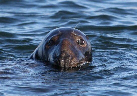 Blue Claw Boat Tours